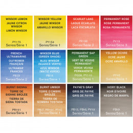 Набір акварельних фарб Winsor & Newton Professional Watercolour Field Box, 12 кольорів + пензлик + губка