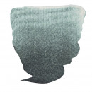 Краска акварельная Van Gogh №848 Интерферентный зеленый, туба 10мл, RoyalTalens