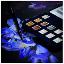 Набір акварельних фарб Van Gogh "SPECIALTY", 12 кювет, пензлик, RoyalTalens 