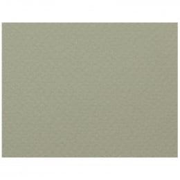 Папір акварельний Fabriano Rusticus, 200 г/м2, №250 сірий, В2 (50*70 см)