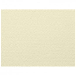 Папір акварельний Fabriano Rusticus, середнє зерно, 200 г/м2, В2 (50*70), білий