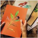 Папір тонований, теплі відтінки, Talens RoyalTalens А4 21*29,7 см, 180 г/м2, 50 аркушів