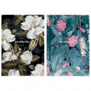 Блокнот Школярик серія №368, 64 аркуші кремового кольору без лініювання 120 г/м2 А5 14.8*21 см