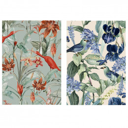 Блокнот "Школярик", серия №369, А5, 64 листа, 120 г/м2, в ассортименте