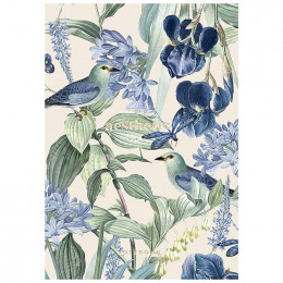 Блокнот "Школярик", серия №369, А5, 64 листа, 120 г/м2, в ассортименте