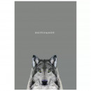 Блокнот Школярик серія №373, 64 аркуші кремового кольору без лініювання 120 г/м2 А5 14.8*21 см