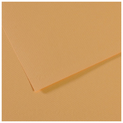 Бумага пастельная MI-TEINTES 160г/кв.м, 50х65 см/ - №340 Устричный