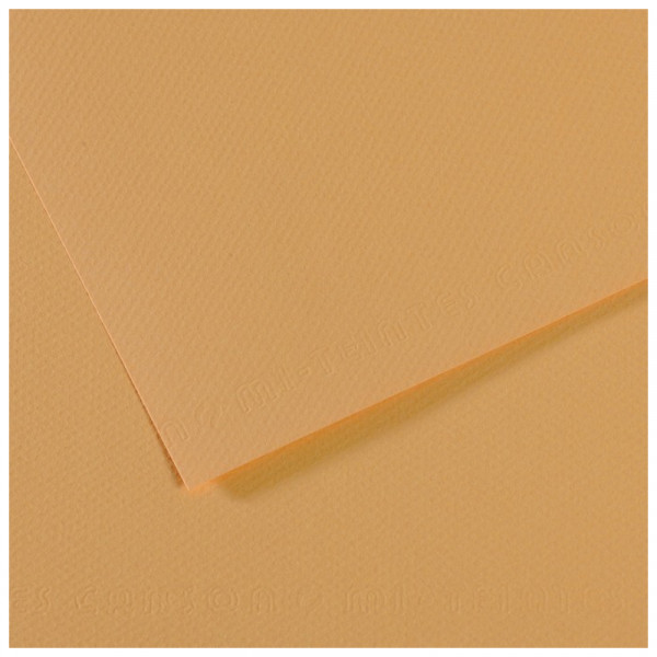 Папір для пастелі Canson Mi-Teintes, №340 Устричний (Oyster), 160 г/м2, 50x65 см