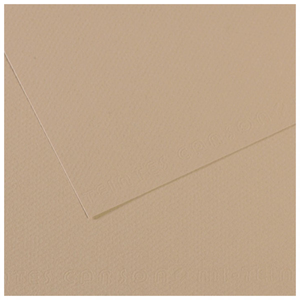 Папір для пастелі Canson Mi-Teintes, №343 Світло-сірий (Pearl), 160 г/м2, 50x65 см