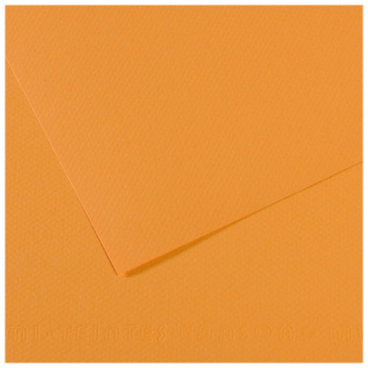 Бумага пастельная MI-TEINTES 160г/кв.м, 50х65 см/ - №374 Конопляный