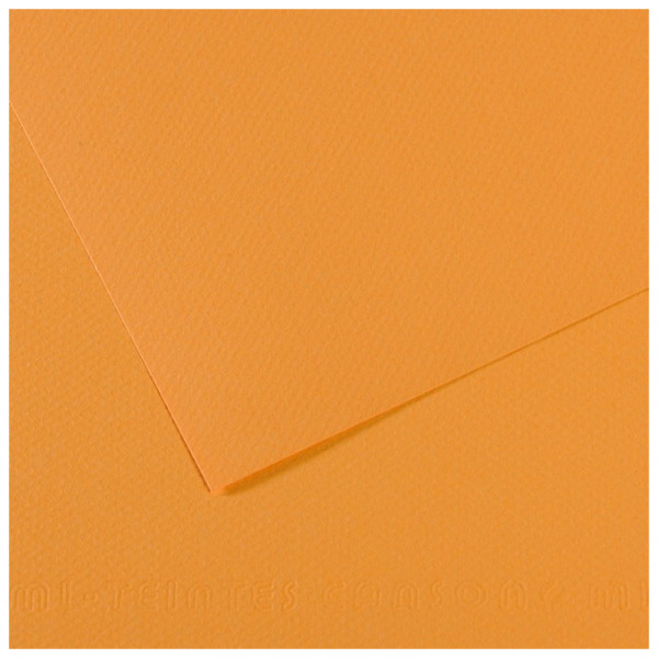 Папір для пастелі Canson Mi-Teintes, №374 Конопляний (Hemp), 160 г/м2, 50x65 см