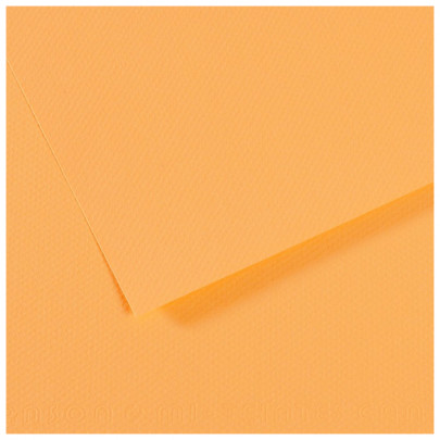 Бумага пастельная MI-TEINTES 160г/кв.м, 50х65 см/ - №470 Шампанское