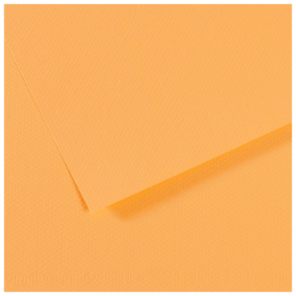 Папір для пастелі Canson Mi-Teintes, №470 Шампань (Champagne), 160 г/м2, 50x65 см