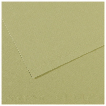 Бумага пастельная MI-TEINTES 160г/кв.м, 50х65 см/ - №480 Светло-зеленый