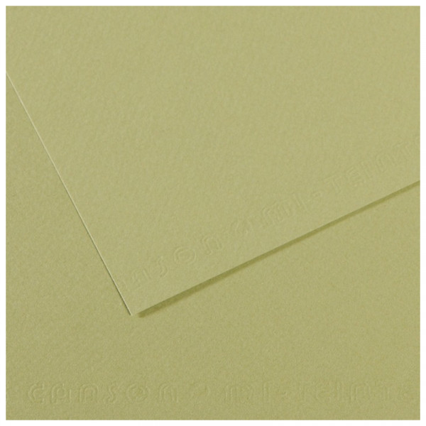 Папір для пастелі Canson Mi-Teintes, №480 Світло-зелений (Light green), 160 г/м2, 50x65 см