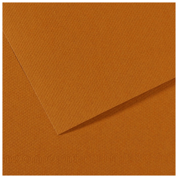 Папір для пастелі Canson Mi-Teintes, №502 Свiтло-коричневий (Bisque), 160 г/м2, 50x65 см