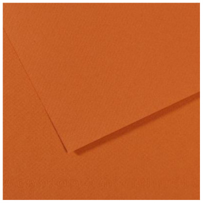 Бумага пастельная MI-TEINTES 160г/кв.м, 50х65 см/ - №504 Янтарный