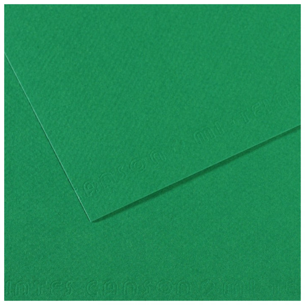 Папір для пастелі Canson Mi-Teintes, №575 Зелений (Viridian), 160 г/м2, 50x65 см