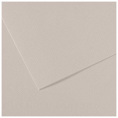 Бумага пастельная MI-TEINTES 160г/кв.м, 50х65 см/ - №120 Жемчужный серый