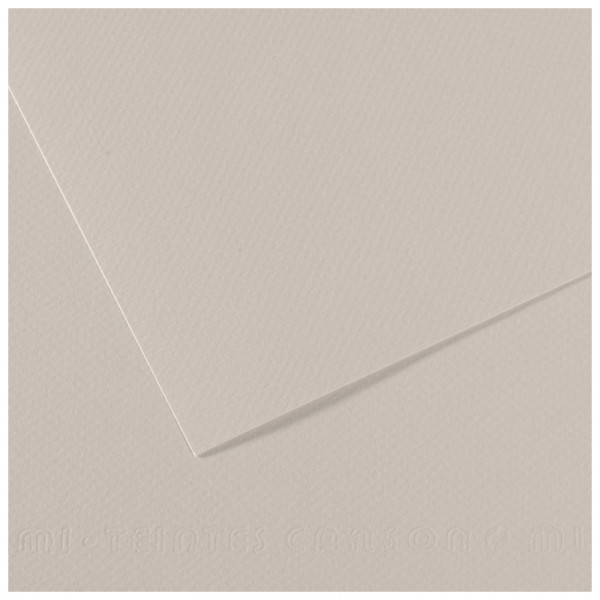 Папір для пастелі Canson Mi-Teintes, №120 Ніжно-сірий (Pearl grey), 160 г/м2, 50x65 см
