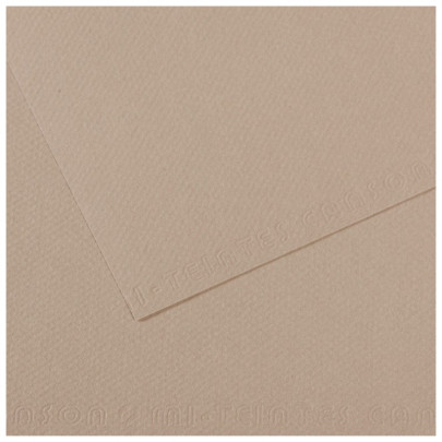 Бумага пастельная MI-TEINTES 160г/кв.м, 50х65 см/ - №122 Фланелевый серый