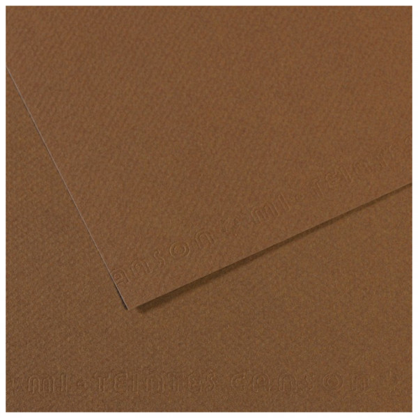 Папір для пастелі Canson Mi-Teintes, №133 Сепія (Sepia), 160 г/м2, 50x65 см