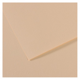 Папір для пастелі Canson Mi-Teintes, №112 Яєчна шкаралупа (Eggshell), 160 г/м2, A4 (21x29.7 см)