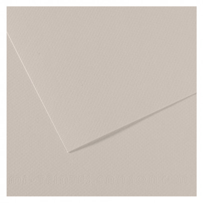 Бумага пастельная MI-TEINTES 160г/кв.м, А4/ - №120 Жемчужный серый