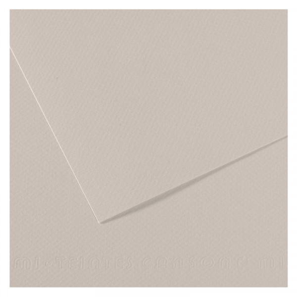 Папір для пастелі Canson Mi-Teintes, №120 Ніжно-сірий (Pearl grey), 160 г/м2, A4 (21x29.7 см)