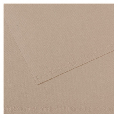 Бумага пастельная MI-TEINTES 160г/кв.м, А4/ - №122 Фланелевый серый