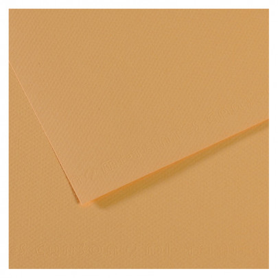 Бумага пастельная MI-TEINTES 160г/кв.м, А4/ - №340 Устричный