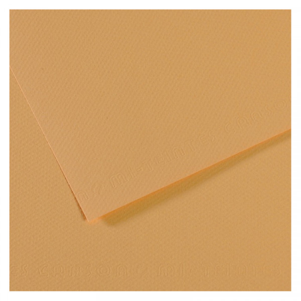Папір для пастелі Canson Mi-Teintes, №340 Устричний (Oyster), 160 г/м2, A4 (21x29.7 см)