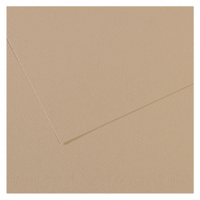 Бумага пастельная MI-TEINTES 160г/кв.м, А4/ - №343 Жемчужный