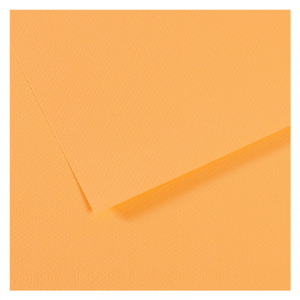 Папір для пастелі Canson Mi-Teintes, №470 Шампань (Champagne), 160 г/м2, A4 (21x29.7 см)