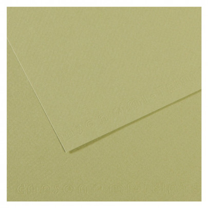 Бумага пастельная MI-TEINTES 160г/кв.м, А4/ - №480 Светло-зеленый