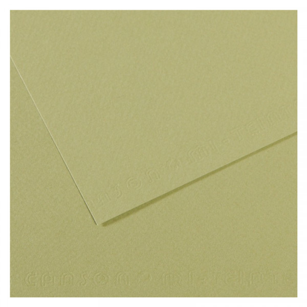 Папір для пастелі Canson Mi-Teintes, №480 Світло-зелений (Light green), 160 г/м2, A4 (21x29.7 см)