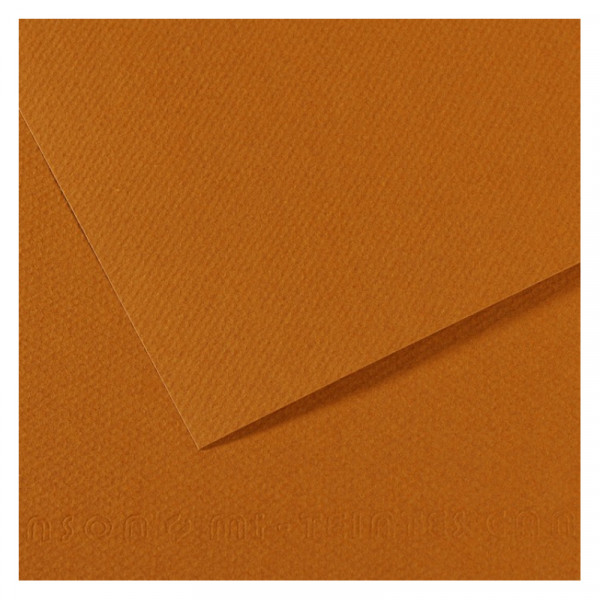 Папір для пастелі Canson Mi-Teintes, №502 Свiтло-коричневий (Bisque), 160 г/м2, A4 (21x29.7 см)