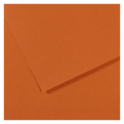 Бумага пастельная MI-TEINTES 160г/кв.м, А4/ - №504 Янтарный