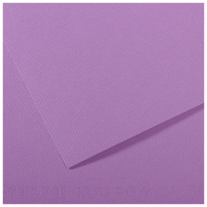 Бумага пастельная MI-TEINTES 160г/кв.м, 50х65 см/ - №113 Черника