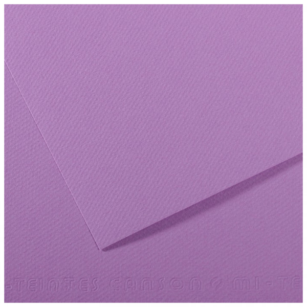 Папір для пастелі Canson Mi-Teintes, №113 Чорничний (Blueberry), 160 г/м2, 50x65 см