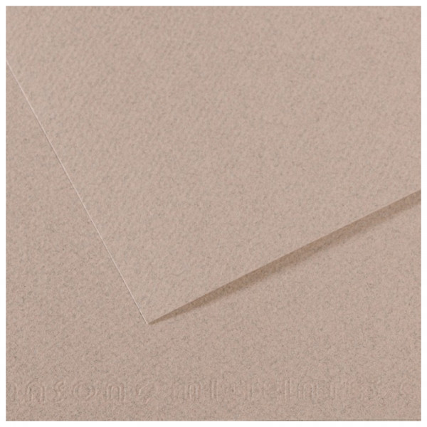 Папір для пастелі Canson Mi-Teintes, №426 Сірий (Moon stone), 160 г/м2, 50x65 см