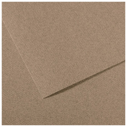 Бумага пастельная MI-TEINTES 160г/кв.м, 50х65 см/ - №431 Стальной серый