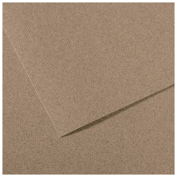 Папір для пастелі Canson Mi-Teintes, №431 Стальний сірий (Steel gray), 160 г/м2, 50x65 см