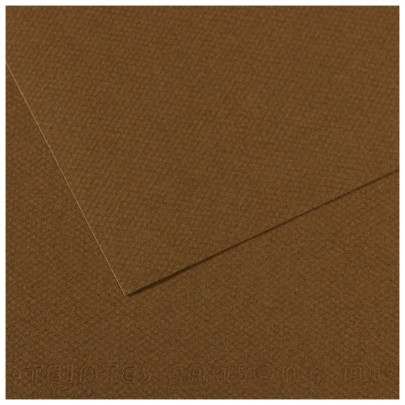 Бумага пастельная MI-TEINTES 160г/кв.м, 50х65 см/ - №501 Табак