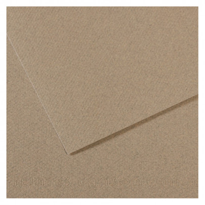 Бумага пастельная MI-TEINTES 160г/кв.м, А4/ - №429 Серый