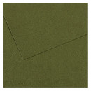 Бумага пастельная MI-TEINTES 160г/кв.м, А4/ - №448Плющ