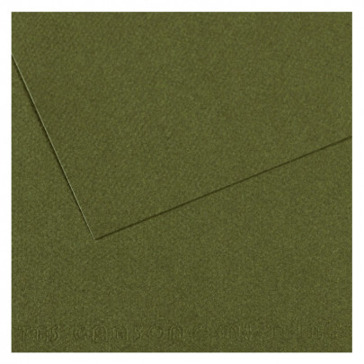 Бумага пастельная MI-TEINTES 160г/кв.м, А4/ - №448Плющ