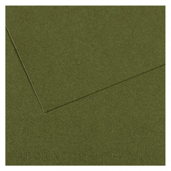 Папір для пастелі Canson Mi-Teintes, №448 Темно-зелений (Ivy), 160 г/м2, A4 (21x29.7 см)