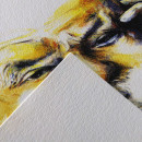 Папір для нарисів Canson C à Grain Fine grain, Natural white 50*65 см, 224 г/м2, 1 аркуш