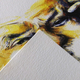 Папір для нарисів Canson C à Grain Fine grain, Natural white 50*65 см, 224 г/м2, 1 аркуш